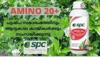 AMINO PLUS