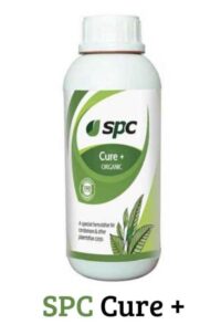 CURE PLUS