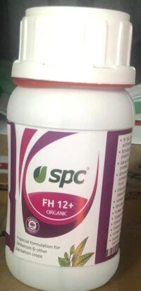 FH PLUS