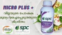 MICRO PLUS