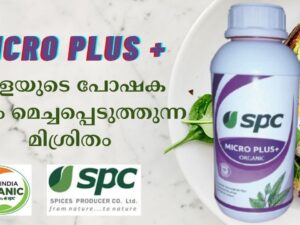 MICRO PLUS