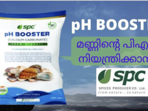 PH BOOSTER